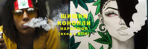 стафф Сатка