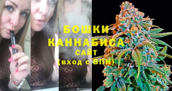 мдпв Саяногорск