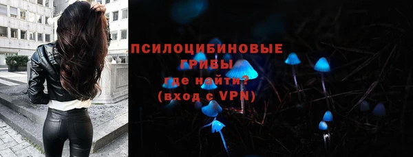 стафф Сатка