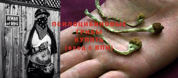 мдпв Саяногорск