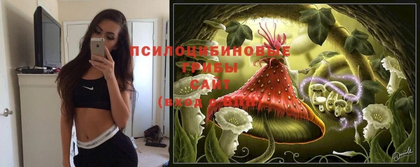 стафф Сатка